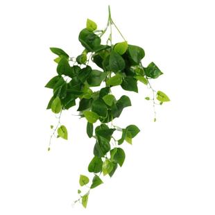 婚庆仿真绿植花束树叶子芦荀草插花植物草婚礼堂装饰绿叶假花布置