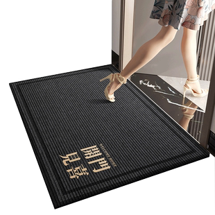 2025新款入户门垫门口进门地垫吸水耐脏防滑脚垫入户门地毯高级感