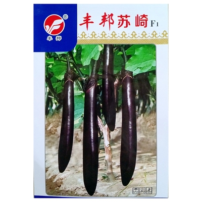 丰邦苏崎茄紫黑长茄种子紫茄子