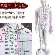 中医针灸穴位人体模型可扎针练习男女全身十二经络小皮人模特图