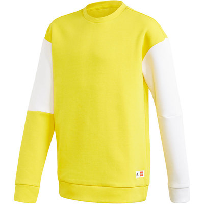 Adidas/阿迪达斯正品童装 新款运动服休闲训练套头卫衣GN6774