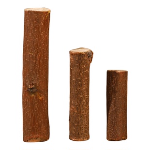 桃树枝老桃木枝条原木小摆件桃枝条婴儿童宝宝随身床头七根五帝钱