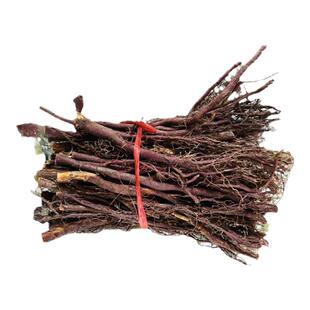 山乡药域 红豆杉树根野生红豆杉根中药材煮水泡酒宜兰山红豆杉根