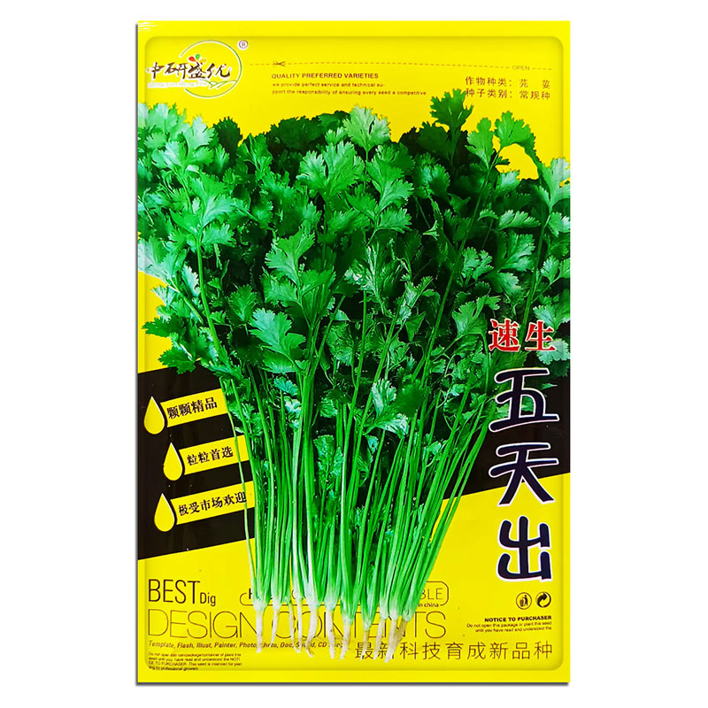 四季香菜种子农家老品种香菜大叶芫荽种春夏秋季耐热耐寒阳台地栽
