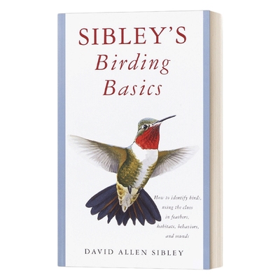 英文原版 Sibley's Birding Basics Sibley Guides 西布利观鸟指南 观鸟者的宝典 英文版 进口英语原版书籍