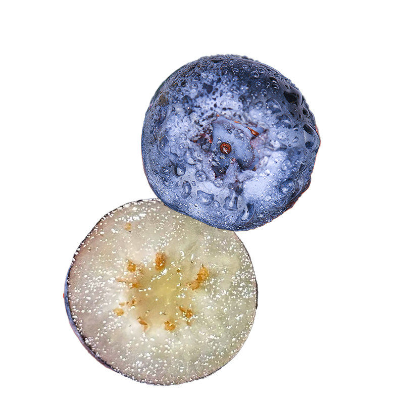 蓝莓树果苗带果子发货蓝莓树苗阳台盆栽南方北方种植室内外好养活