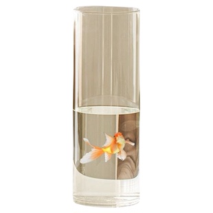 花瓶高级感摆件亚克力插花防摔客厅透明醒花桶富贵竹百合水养轻奢