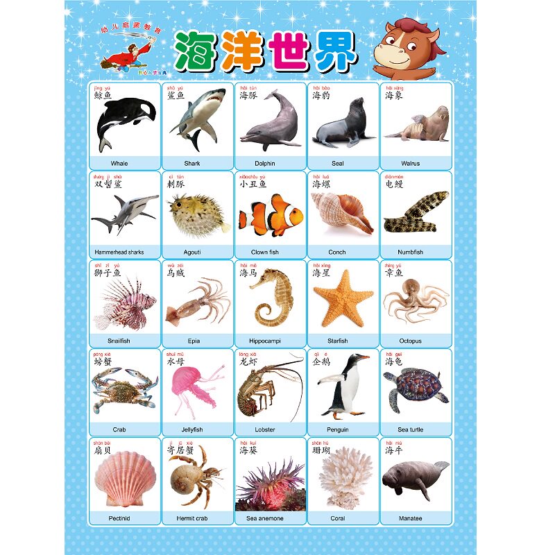 幼儿早教启蒙宝宝益智认识水果蔬菜动物海洋生物海底世界无声挂图