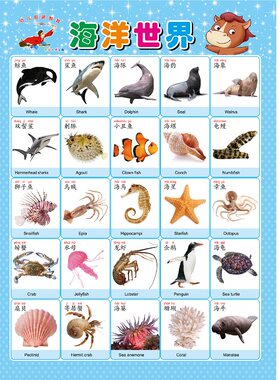 幼儿早教启蒙宝宝益智认识水果蔬菜动物海洋生物海底世界无声挂图