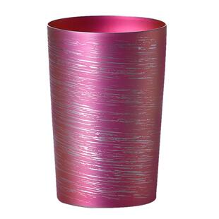 日本HORIE纯钛双层钛水杯子真空酒杯日系原宿茶杯多功能白桦270ML