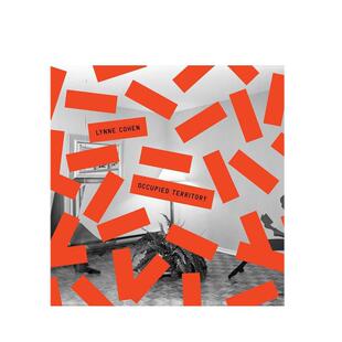 【预售】林恩·科恩:被占领的领土英文摄影摄影师专辑进口原版外版书精装14岁以上Lynne Cohen: Occupied Territory Lynne Cohen