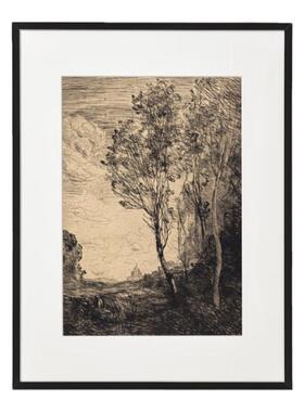 玄关客厅中古小众风景植物素描画