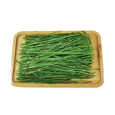 岷山源头茬提摩西兔兔干草整箱