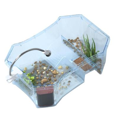 乌龟缸送小乌龟送大礼包