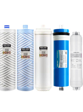 安吉尔净水器滤芯新A4/V6/A6/A8原装2305正品1205/J2605-ROB8/B60
