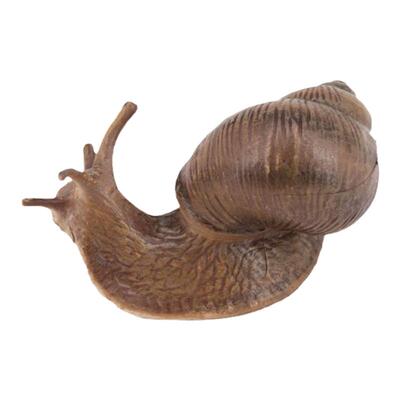 仿真动物实心蜗牛模型玩具昆虫儿童认知科教塑料微景观摆件散玩具
