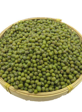 新绿豆发豆芽专用绿豆非转基因绿豆汤豆粥发绿豆芽芽苗菜包邮