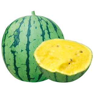 小西瓜种子种籽黄皮懒汉大全甜王无籽孑南方嫁接麒麟8424苗秧2k