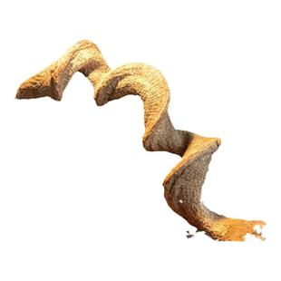 寄居蟹爬宠攀爬木造景树藤天然枯木爬虫缸雨林缸树蛙睫角过江龙藤