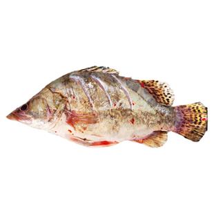 【1-3条】臭鳜鱼臭桂鱼净膛安徽黄山特产正宗徽州臭鳜鱼真空