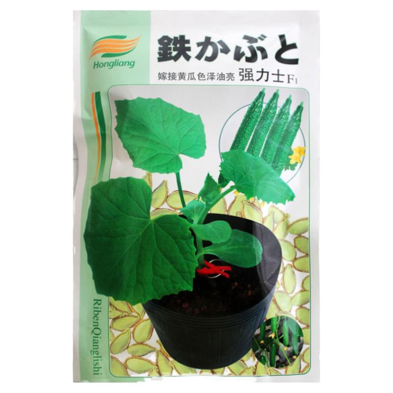 日本黄瓜嫁接砧木耐低温散装种子
