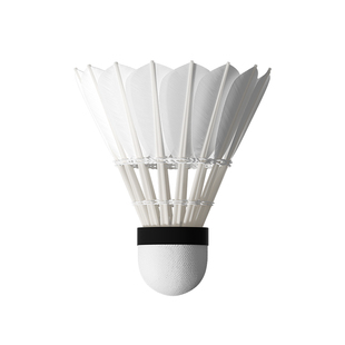 YOTTOY发光羽毛球夜光荧光发亮鹅毛耐打户外训练夜间亮灯带灯打球