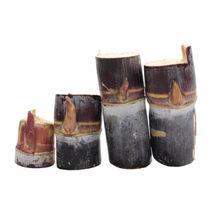 黄皮甘蔗苗种黑皮种子苗孑带芽南方四季甜杆可种植种苗发芽率高