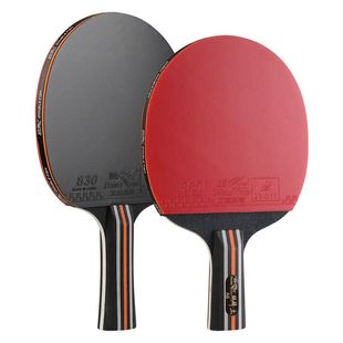 双鱼麒麟6星乒乓球拍双面反胶弧形快攻高粘性比赛训练成品拍