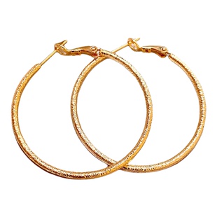 金属大圈圈耳环女2026新款轻奢高级感耳钉夸张耳圈适合圆脸的耳饰