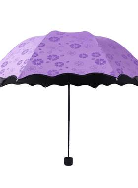 遇水开花黑胶折叠晴雨两用雨伞女
