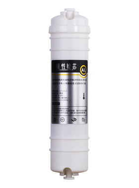净水器10寸2分快接AL弱碱性调节酸碱度后置过滤器滤芯直饮机配件