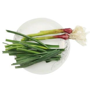 湖北紫皮香蒜新鲜蒜苗红皮青蒜嫩大蒜时令蔬菜现挖带泥发5斤顺丰