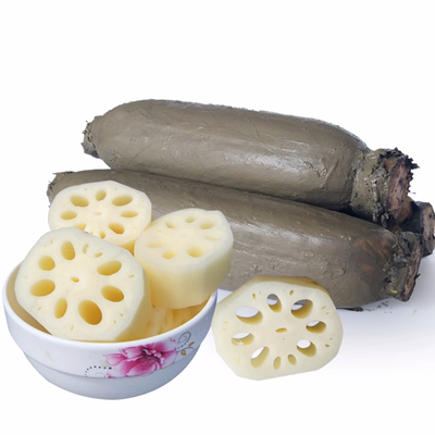 湖北正宗新鲜莲藕粉藕洪湖煲汤食用桂花糯米藕红莲藕现挖现发带泥