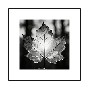 客厅装饰画文艺小众黑白风格挂画现代简约卧室酒店走廊过道背景画