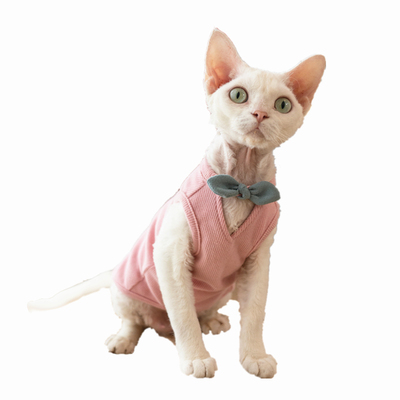 GINGERAIN/布桃子的梦想