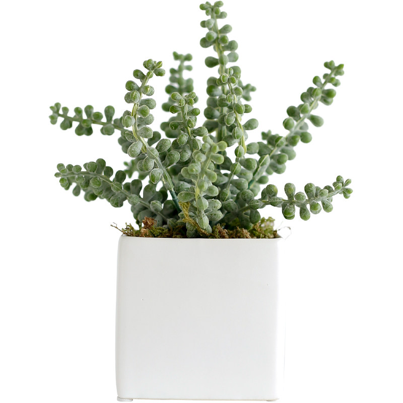 ladylike 仿真多肉植物组合盆栽 假花绿植装饰家居室内迷你小摆件