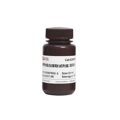 赛维尔生物Servicebio G2096-50T 植物蛋白提取试剂盒SDS-PAGE/Western Blot/蛋白定量实验 浓度精准日期新鲜