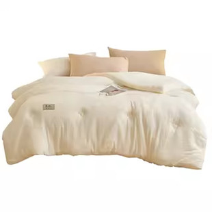 A类被子大豆纤维被冬被冬季加厚保暖棉被春秋被学生宿舍单人被芯