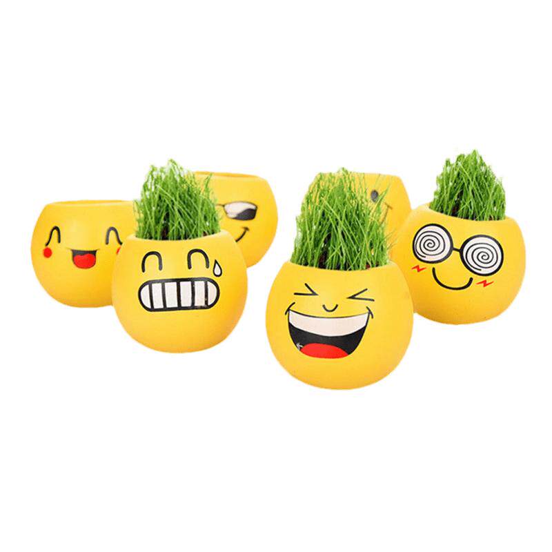 桌面迷你植物小盆栽草头娃娃