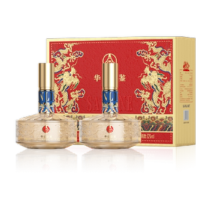 五粮液仙林生态华位品鉴52度500ml*2瓶礼盒装