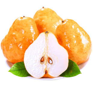 中华丑梨正宗山东烟台软糯香甜梨子新鲜水果当季太婆啤梨整箱包邮