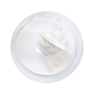 碗家用2026新款高级感碗碟套装轻奢陶瓷碗盘组合乔迁盘子骨瓷餐具