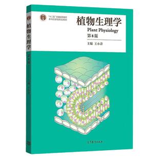 现货 植物生理学 第8版第八版 王小菁 潘瑞炽 第七版修订 高等教育出版社 十二五普通高等教育本科教材 植物生理学教程 研博图书