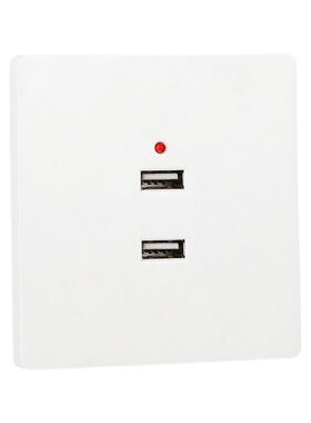 USB插座10只明装220V/36V