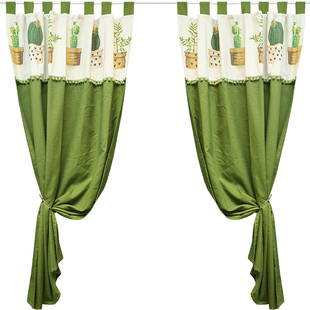 鸢尾穿杆北欧仙人球挂带美式门帘窗帘免打孔卧室遮光纯色单片窗户