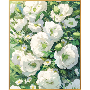 花卉白玉兰画画diy数字油画填充填色2024新款丙烯手工手绘油彩画