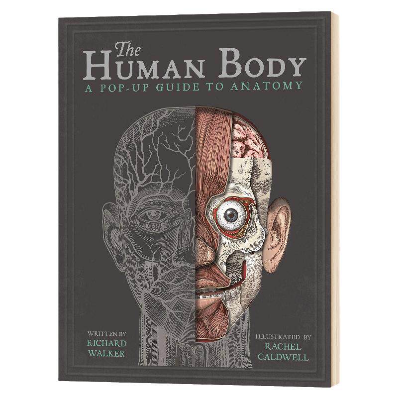 身体构造 立体书 英文原版 The Human Body 英文版 Richard Walker 儿童身体健康教育科普 立体书翻翻书绘本 进口原版英语书籍