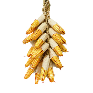 农家乐装饰五谷杂粮丰登仿真蔬菜假辣椒串挂件玉米大蒜农作物道具