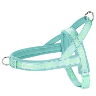 狗狗牵引绳柴犬金毛拉布拉多中大型犬马鞍式大狗胸背带可调节狗绳