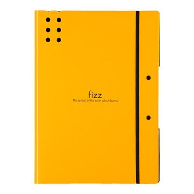 飞兹加厚多功能资料收纳夹